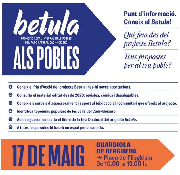 Betula als pobles 